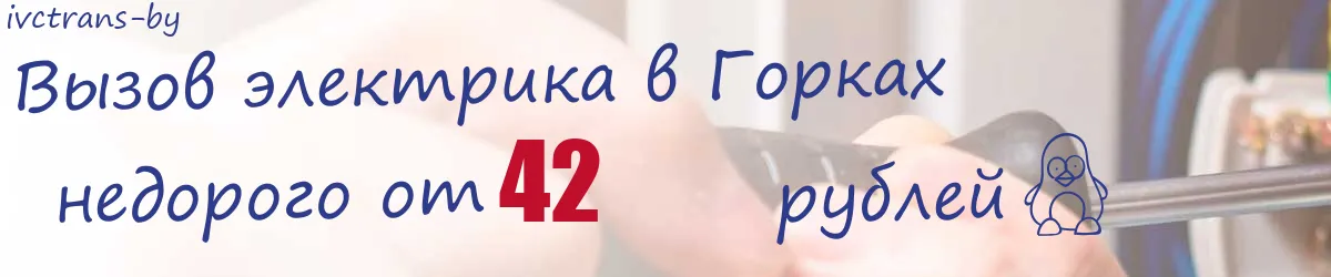 Электрик в Горках